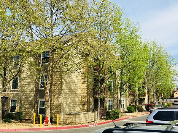 Parking near buildings and trees